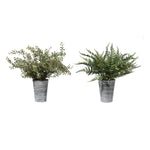 Uttermost 60147 Quimby Potted Ferns Set/2