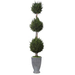 Uttermost 60172 Cypress Triple Topiary