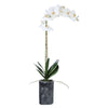 Uttermost 60175 Eponine White Orchid