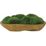 Uttermost 60180 Kinsale Moss Centerpiece