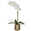 Uttermost 60189 Cami Orchid With Brass Pot