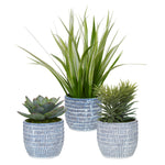 Uttermost 60192 Puebla Greenery In Blue & White Pots, Set of 3