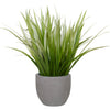 Uttermost 60194 Dracaena Grass In Gray Planter