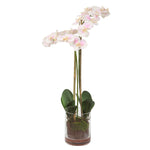 Uttermost 60196 Blush Pink And White Orchid