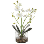 Uttermost 60201 Glory Orchid