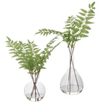 Uttermost 60202 Country Ferns, Set of 2