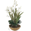 Uttermost 60039 Moth Orchid Planter