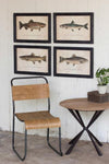 Kalalou Set of Four Framed Trout Prints – Coastal Wall Décor