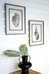 Kalalou CHH1339 Framed Black and White Shell Prints Under Glass Set of 2