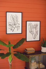 Kalalou CHH1352 Set of Two Framed Black Leaves Prints Under Glass