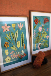 Kalalou CHH1357 Framed Flower Prints with Blue Background Under Glass