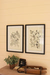 Kalalou CHH1364 Framed Black Leaves Prints Under Glass
