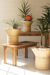 Kalalou CLAN1083 Flared Rattan Planters Set of 3