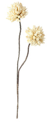 Kalalou CLX1329 Botanica #103