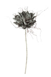 Kalalou CLX2148 Botanica #373