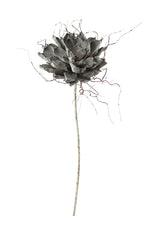 Kalalou CLX2148 Botanica #373