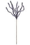 Kalalou CLX2436 Botanica #640