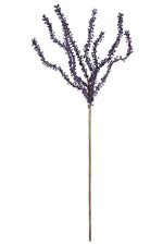 Kalalou CLX2436 Botanica #640
