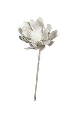 Kalalou CLX2718 Botanica #918