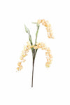 Kalalou CLX2945 Botanica #1145