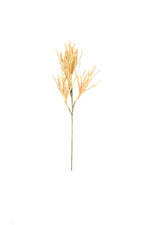 Kalalou CLX2965 Botanica #965