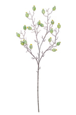 Kalalou CLX3121 Botanica #3121