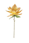 Kalalou CLX3179 Botanica #3179