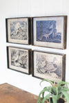 Kalalou CMK1022 Set Of Four Bird Prints Under Glass