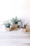 Artificial Succulent Trio in Square Pots – 11" by Kalalou