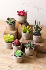 Kalalou CNL1041 Set Of Eight Miniature Succulents