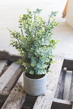 Kalalou CNL1194 Artificial Boxwood In A Cement Pot