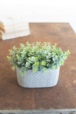 Kalalou CNL1198 Artificial Eucalyptus In A Cement Pot