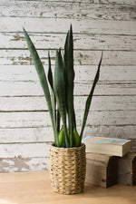 Kalalou CNL1218 Artificial Mother In Law Tongue In A Woven Pot