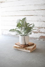 Kalalou CNL1250 Artificial Plant In A Faux Marble Pot