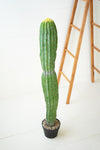 Kalalou CNL1318 Artificial Single Trunk Cactus In A Plastic Pot