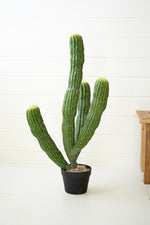 Kalalou CNL1321 Artificial Multi Trunk Cactus In A Plastic Pot