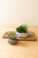 Kalalou CNL1334 Set Of Two Succulents In Concrete Pots