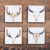 HiEnd Accents Skull coasters, Set of 4 Pcs