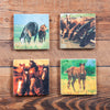 HiEnd Accents Horse Coasters, Set of 4 Pcs
