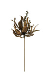 Kalalou CSL2394 Botanica #2394