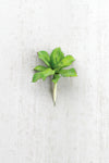 Kalalou CYF1064 Artificial Succulent Stem