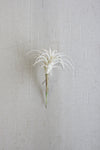 Kalalou CYF1108 White Air Plant Small