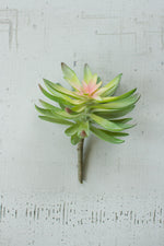 Kalalou CYF1121 Flower Succulent