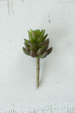 Kalalou CYF1123 Artichoke Succulent