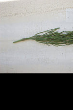 Kalalou CYF1183 26 In Soft Draping Stem
