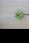 Kalalou CYF1189 8 In Succulent Single Stem