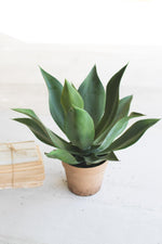 Kalalou CYF1225 Artificial Agave In A Painted Plastic Pot