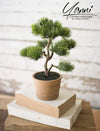 Kalalou CYF1258 Small Artificial Multi Pine Tree With Planter