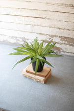 Kalalou CYF1266 Artificial Potted Green Grass