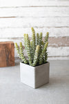 Kalalou CYF1288 Square Potted Artificial Succulent